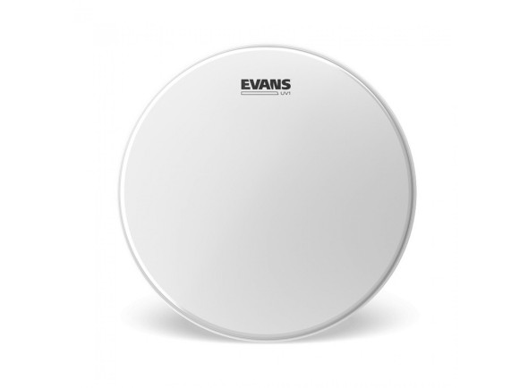 Evans 14 Evans 14